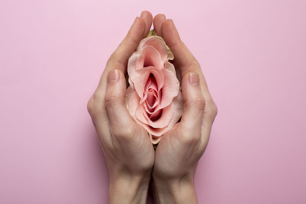 vizualizace ženských reprodukčních orgánů, menopauza
